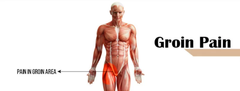 Muscle Pain in the Groin area