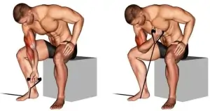 Resistance Band Concentration Curl