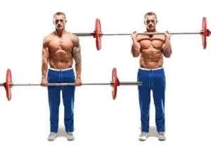 Reverse Grip Barbell Curl