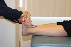 Read more about the article Silfverskiold Test