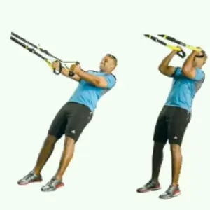 TRX Suspension Curl