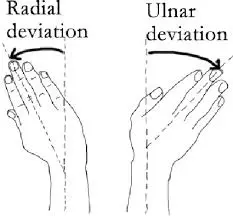 Wrist Side-to-Side (Radial and Ulnar Deviation)