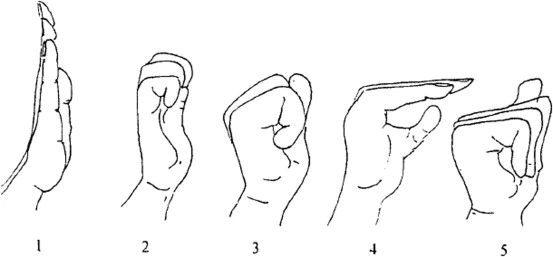 Tendon gliding exercises