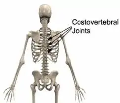 Costovertebral Dysfunction
