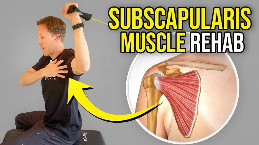 Exercises For Subscapularis Muscle Pain