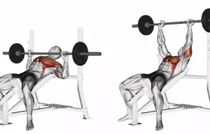 Incline Barbell Bench Press