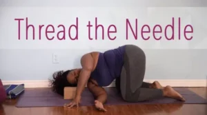Thread the Needle Pose (Parsva Balasana)