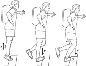 eccentric heel drop