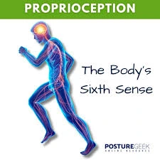 proprioception