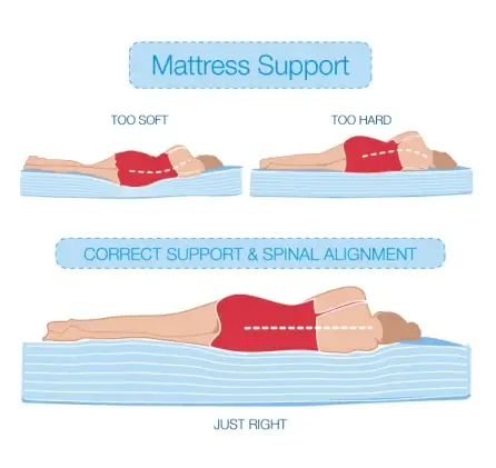 Support-And-Spine-Alignment