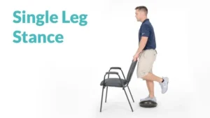 Single Leg Stand (Supported)