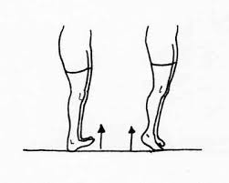 Toe-heel walks