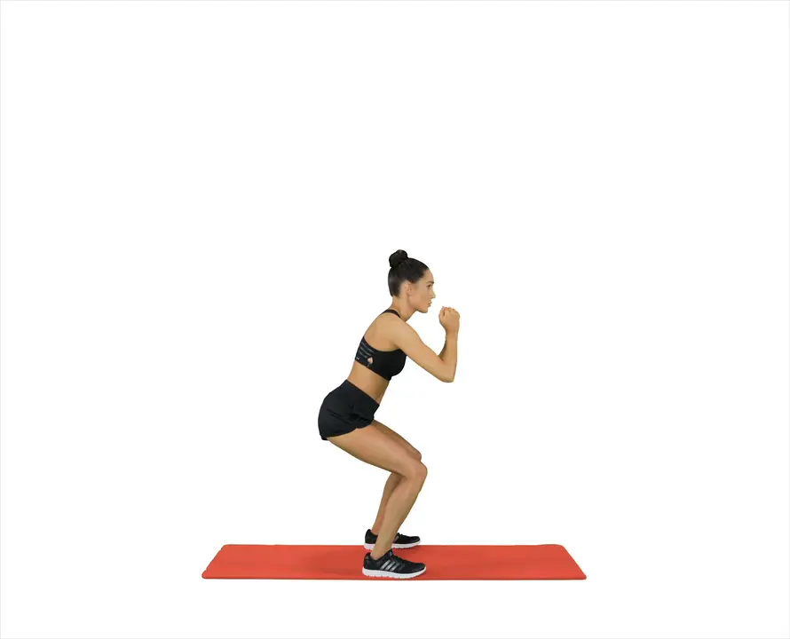 Half Squats