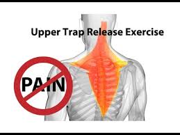 Best Exercises & Stretches for Upper Trapezius Pain Relief