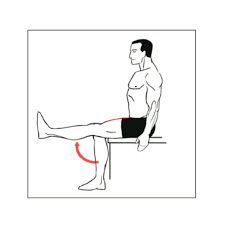 Seated Leg Extension