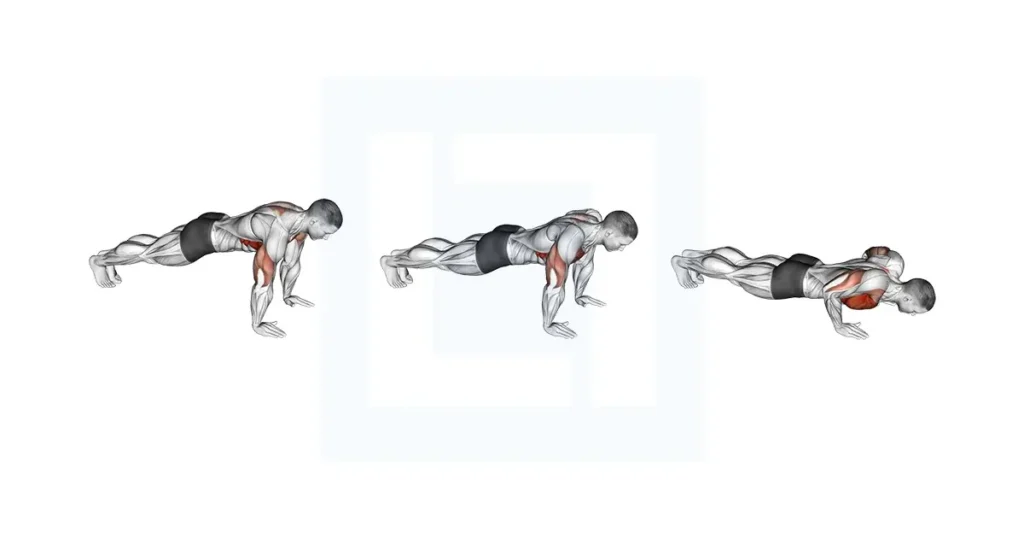 push up plus exercise