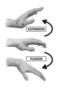 wrist flexion and extension exercises