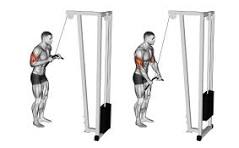 Cable Tricep Pushdowns