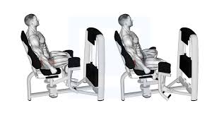 Hip Abduction Machine