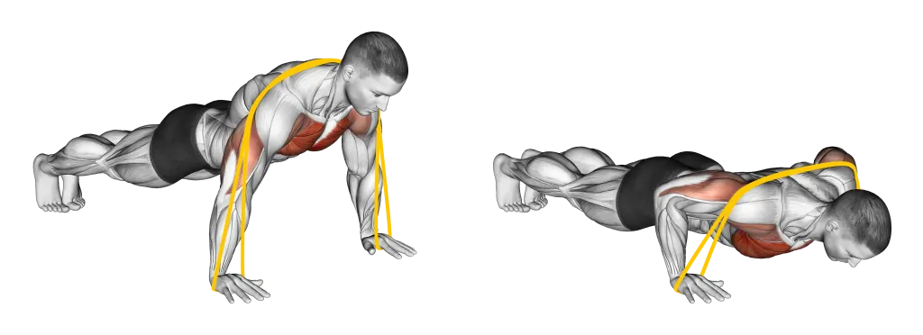 Resistance Band Push-Up