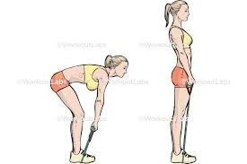 Romanian Deadlift with band