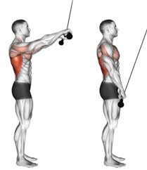 Straight-Arm Pull-Down