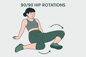 90/90 Hip Rotations