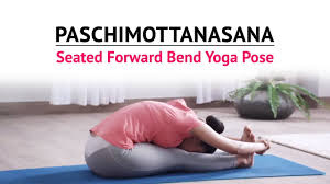Seated Forward Bend (Paschimottanasana)