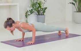 Chaturanga Dandasana (Four-Limbed Staff Pose)