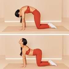 Cat-Cow Pose