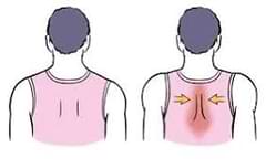 Shoulder Blade Squeezes