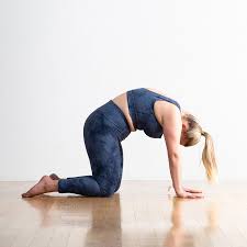 Marjaryasana (Cat Pose)