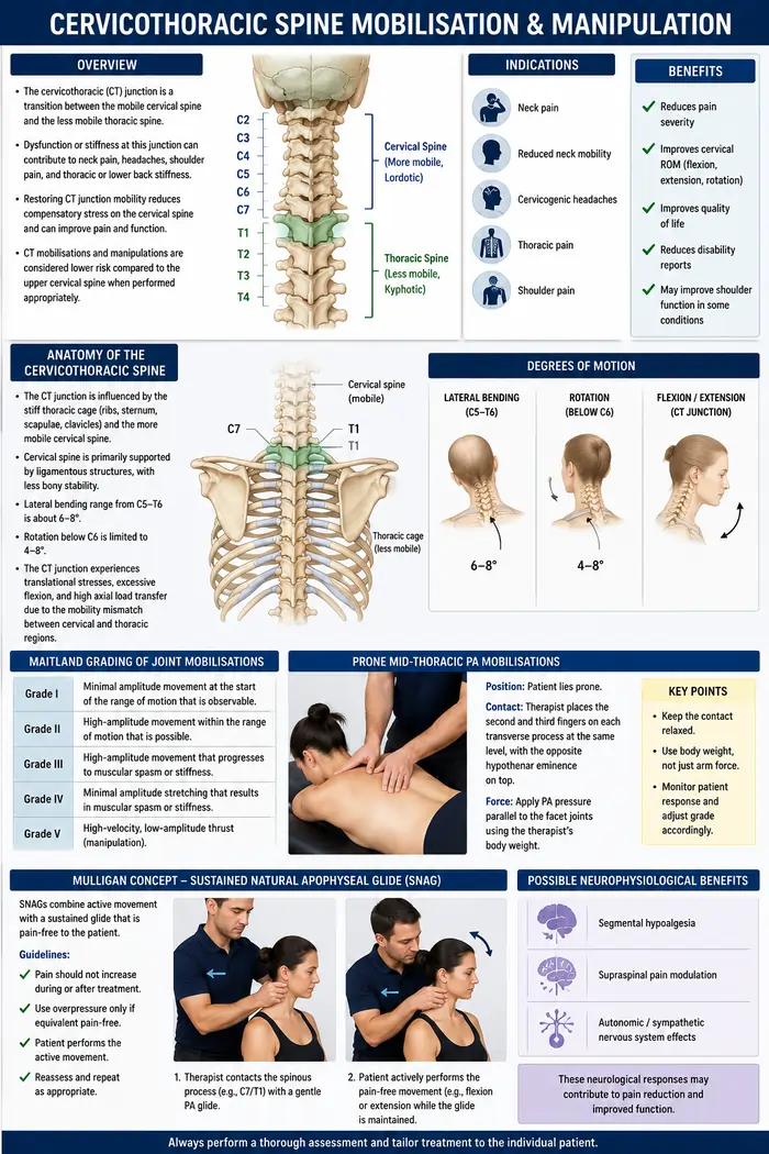 Manual Techniques for the Cervicothoracic Spine