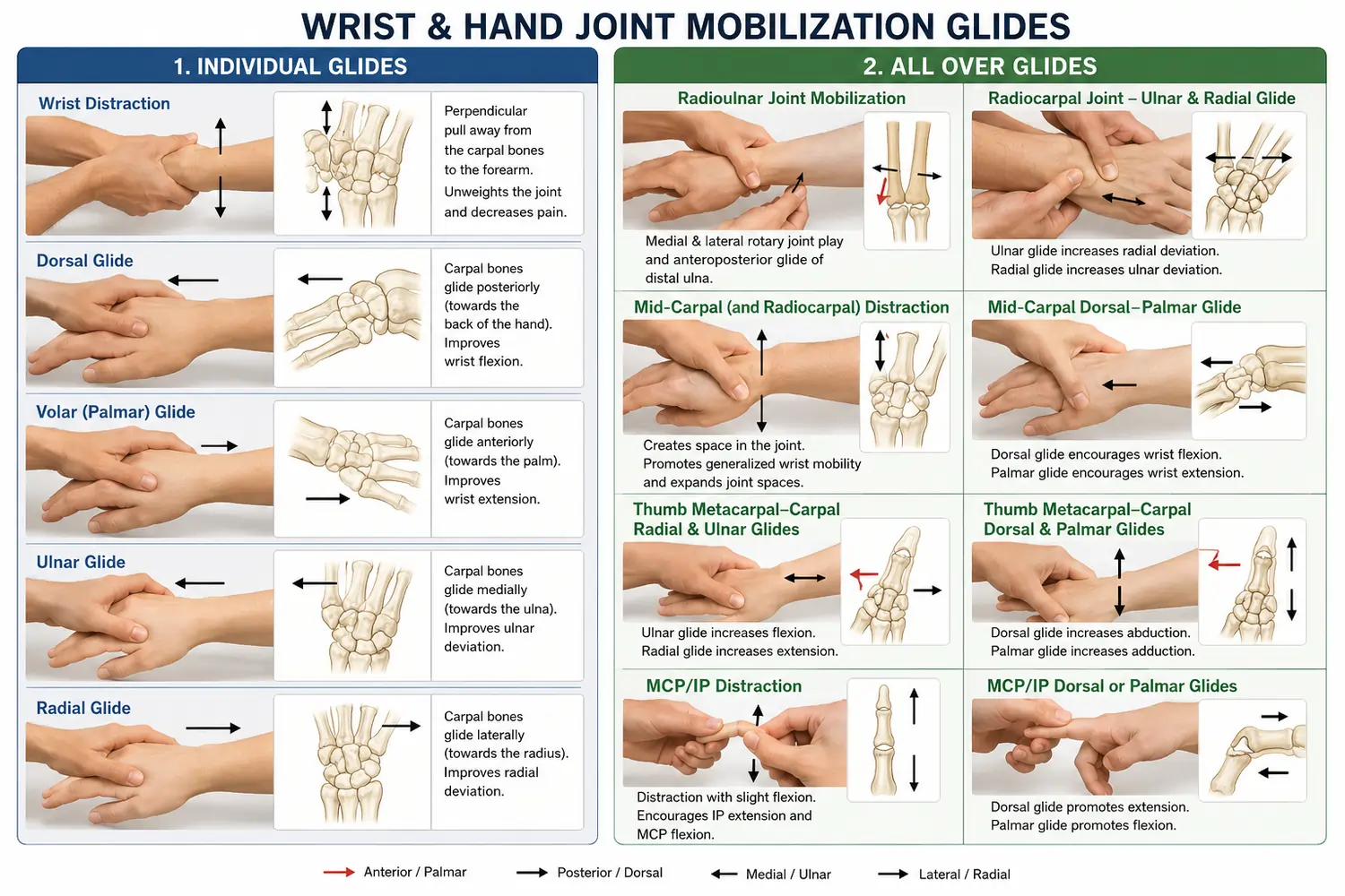 wrist joint mobilization technique
