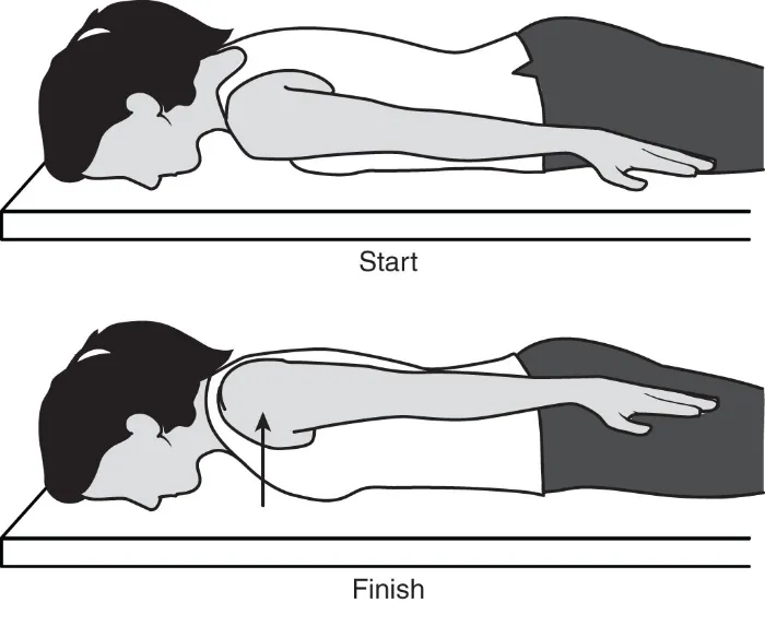 shoulder blade setting