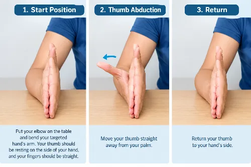 Thumb Abduction And Adduction